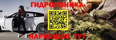 амф Норильск